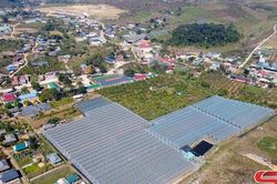Lóng Phiêng phát huy hiệu quả kinh tế tập thể