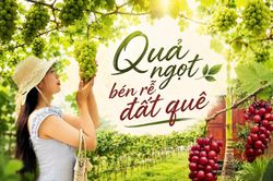 Quả ngọt bén rễ đất quê