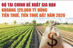 Infographics: Bộ T&agrave;i ch&iacute;nh đề xuất gia hạn khoảng 125.000 tỷ đồng tiền thuế, tiền thu&ecirc; đất năm 2026
