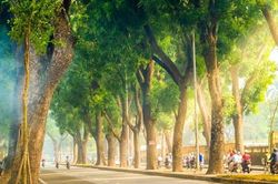 Dự báo thời tiết ngày 21/6: Miền Bắc nắng nóng gay gắt, miền Nam mưa dông