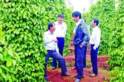 Trên những con đường đất đỏ...