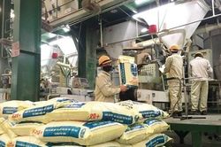 Doanh nghiệp gặp kh&oacute; v&igrave; c&ugrave;ng một hồ sơ, mỗi địa phương xử l&yacute; kh&aacute;c nhau