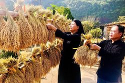 Chuyện người trưởng xóm 'đánh thức' tiềm năng cây trái bản địa