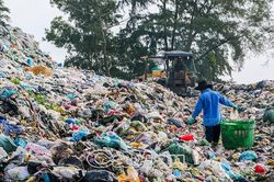 Ðẩy mạnh thực thi pháp luật bảo vệ môi trường