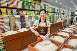 Giá lúa gạo hôm nay 22.6: Lúa trong nước ổn định, gạo xuất khẩu nhích nhẹ