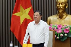 Phó Thủ tướng Thường trực Phạm Gia Túc: Hoàn thiện chính sách nhập khẩu ô tô diện quà biếu, quà tặng, bảo đảm công bằng và minh bạch