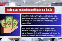 [Video] Ngân hàng Nhà nước cảnh báo nguy cơ lưu hành ngoại tệ giả