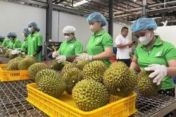 Hình thành 'hộ chiếu số' cho nông sản Việt