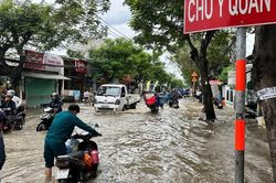Cần sớm đưa vào vận hành dự án chống ngập 10.000 tỷ đồng ở Thành phố Hồ Chí Minh
