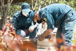 Mệnh lệnh từ tr&aacute;i tim: H&agrave;nh tr&igrave;nh vẹn tr&ograve;n nghĩa t&igrave;nh