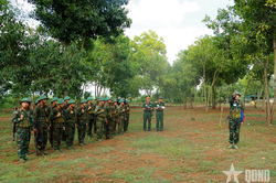 Sư đoàn 320 (Quân đoàn 34): 41 cán bộ đại đội trưởng tham gia hội thi huấn luyện chiến thuật, điều lệnh giỏi