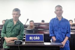 Anh em ruột lĩnh án tù vì tranh chấp con bò