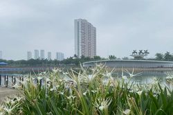 Từ nay đến 20-7: Bắc bộ và Trung bộ còn nhiều đợt nắng nóng, Nam bộ nhiều ngày mưa dông