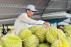 Từ ngày 1-7, vận hành hệ thống truy xuất nguồn gốc nông, lâm, thủy sản