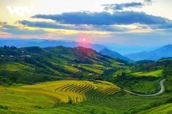 Tích hợp hệ sinh thái đào tạo song hành vào kinh tế tuần hoàn trong nông nghiệp công nghệ cao tại Lai Châu