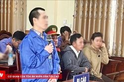 Đừng để sự tùy tiện tước đi quyền được sống của mình và người khác