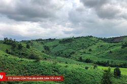 Đi đốt thực bì trên rẫy, hai vợ chồng bị ngạt khói tử vong