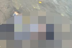 Phát hiện thi thể nam giới với nhiều mảng da màu trắng gần cầu Bãi Cháy