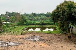 Hà Nội: Quy trình 15 ngày tính tiền sử dụng đất khi chuyển đất ao vườn lên đất ở