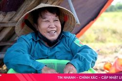 Hành tăm giá tốt, nông dân 'đội nắng' thu hoạch