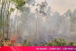 27 xã, phường ở Hà Tĩnh có nguy cơ cháy rừng ở cấp cực kỳ nguy hiểm