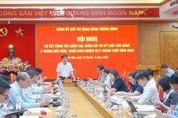 Đẩy mạnh giám sát trên dữ liệu trong công tác kiểm tra của Đảng