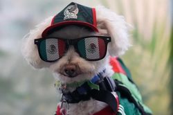 World Cup 2026: Ngôi sao đặc biệt trên đường phố Mexico