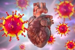 Cảnh báo virus cảm cúm thông thường cũng có thể gây viêm cơ tim nguy hiểm