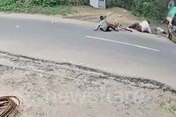 Quay đầu thiếu quan sát, người đi xe đạp khiến xe ba bánh lật nhào giữa đường