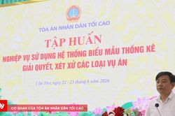 Tập huấn nghiệp vụ sử dụng biểu mẫu thống kê xét xử: Hướng tới sự chuyên nghiệp và chính xác