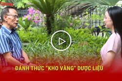 Đánh thức 'kho vàng' dược liệu