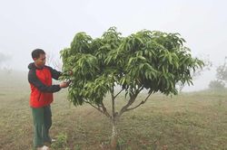Phát huy hiệu quả chính sách dân tộc: Sức bật cho miền núi xứ Thanh