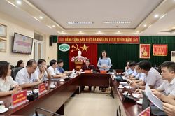Khảo sát việc thực hiện chính sách, pháp luật về hiến, ghép mô, tạng và phòng, chống tác hại của thuốc lá