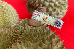 Từ 1/7, sẽ vận hành Hệ thống truy xuất nguồn gốc nông lâm thủy sản