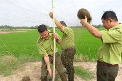Bảo vệ động vật hoang d&atilde;