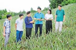 Mô hình chính quyền địa phương 2 cấp ở Bắc Ninh: Gỡ điểm nghẽn từ cơ sở