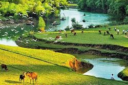 Trở lại dòng sông tuổi thơ