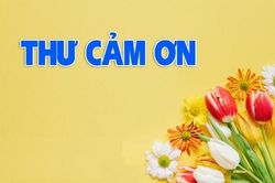 Thư cảm ơn