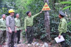 Nhiều khu vực miền núi Bắc Ninh trong vùng cảnh báo cháy rừng cấp cực kỳ nguy hiểm