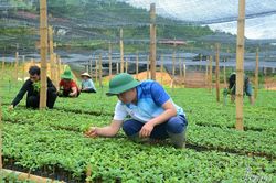 Mùa gieo hy vọng