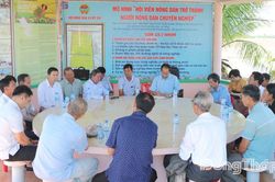 Tham quan, học tập kinh nghiệm mô hình sản xuất lúa tại Hợp tác xã Dịch vụ nông nghiệp Thắng Lợi