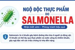 Ngộ độc thực phẩm do vi khuẩn Salmonella, nhận biết sớm và phòng tránh hiệu quả
