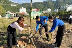Rà soát, đăng ký nhu cầu hỗ trợ trồng cây xanh