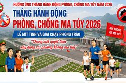 Tổ chức các hoạt động hưởng ứng Tháng hành động phòng, chống ma túy năm 2026