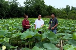 Khoa học bén rễ từ đồng đất quê hương
