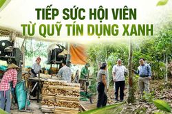 Tiếp sức hội viên từ quỹ tín dụng xanh