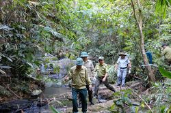 Lâm Đồng gỡ vướng, đẩy nhanh phê duyệt phương án quản lý rừng