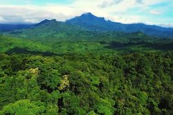 Phát triển lâm nghiệp bền vững