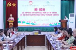 Tìm giải pháp mở rộng đầu ra cho sản phẩm cây ăn quả của hợp tác xã do phụ nữ quản lý
