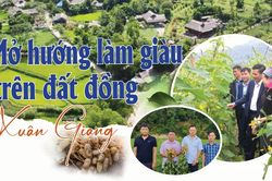 Mở hướng làm giàu trên đất đồng Xuân Giang